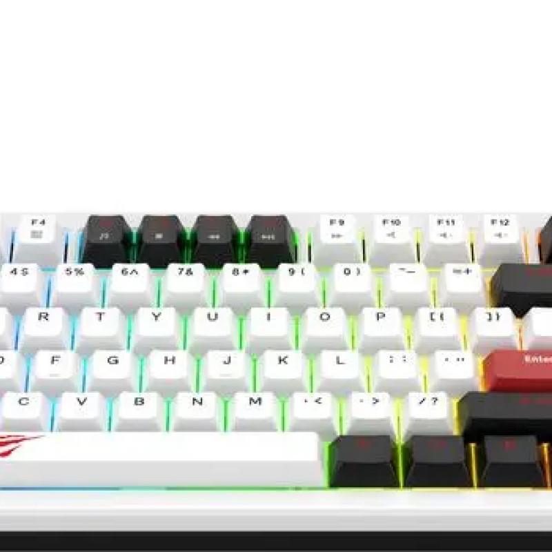6190 HAVIT KB902L GAMING KEYBOARD WHITE