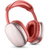 Müzik Ses Maxi2