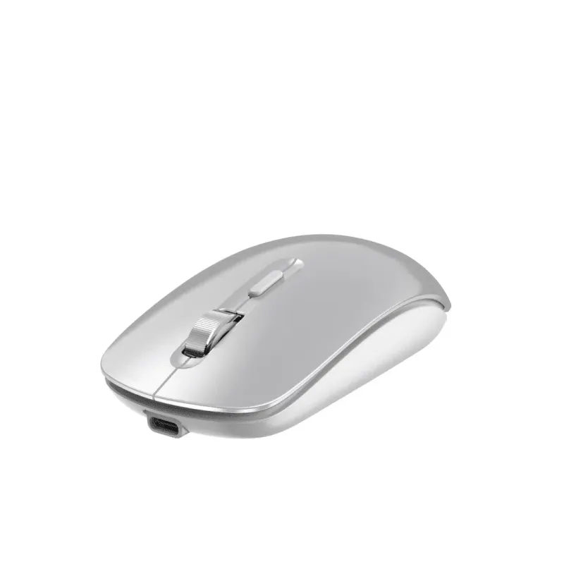 DEVIA 2.4G MOUSE