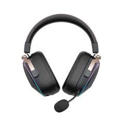 HAVIT GAMING HEADPHONE H2039BG