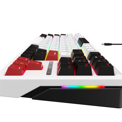 Havit KB902L Gaming keyboard White