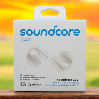 Anker Soundcore C30i