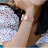 Apple Watch için DEVIA Elegant Serisi Milanese Döngü Saat Kayışı